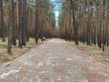 1-бөлмелі пәтер · 33 м² · 5/5 қабат, Бсхт 47, бағасы: 13.5 млн ₸ в Щучинске — фото 13