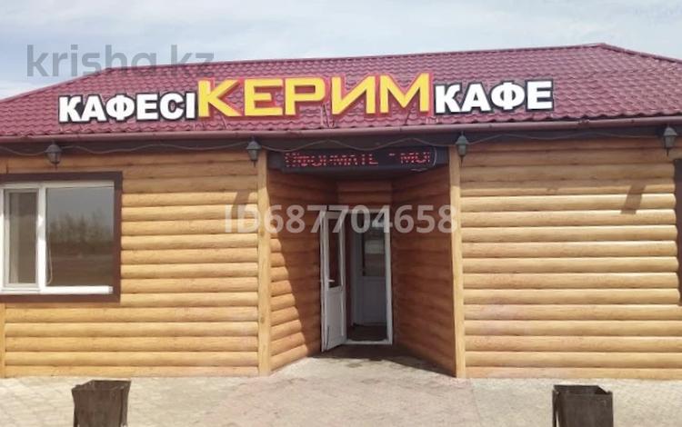 Дүкендер мен бутиктер, қоғамдық тамақтану орны · 496 м², бағасы: 9.5 млн ₸ в Железинке — фото 2