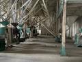 Завод 90 соток, Поселок Фарход за 900 млн 〒 в Самарканде — фото 20