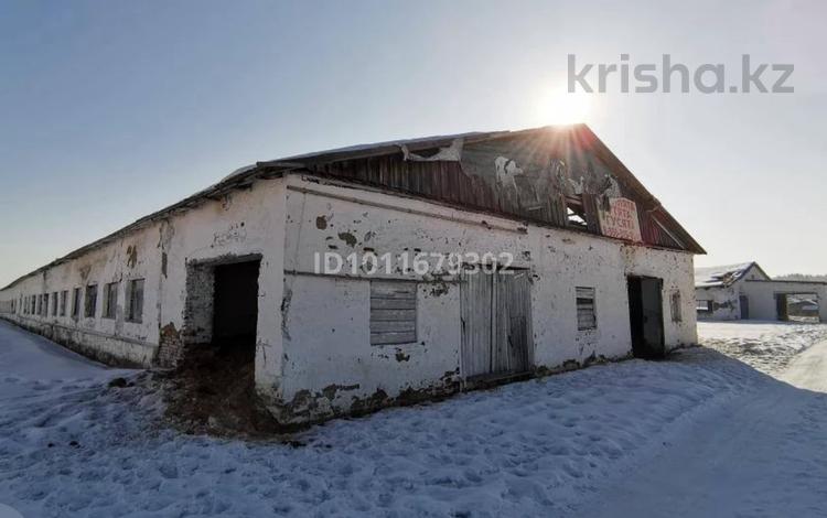 Промбаза · 2200 соток, База 2 — Возле рынка за 300 000 ₸ в Караоткеле — фото 2