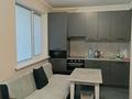 1-бөлмелі пәтер · 35 м² · 5/10 қабат, Жамбыла 116 — Досмухамедова, бағасы: 17 000 ₸ в Алматы, Алмалинский р-н — фото 3