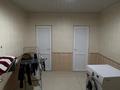 Жеке үй · 10 бөлме · 250 м² · 12 жүзд., Жеңіс 123, бағасы: 55 млн ₸ в  — фото 13