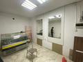 Общепит · 42 м² за 350 000 ₸ в Астане, Сарыарка р-н — фото 6