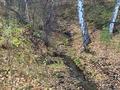 Участок · 12 соток, Новая Бухтарма за 1.2 млн ₸ — фото 2
