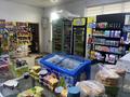 Магазины и бутики · 56 м² за 15.5 млн ₸ в Каскелене — фото 17