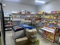Магазины и бутики · 56 м² за 15.5 млн ₸ в Каскелене — фото 18