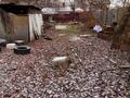 Участок · 4.95 соток, И. Каримова 184а за ~ 43.6 млн ₸ в Алматы, Алмалинский р-н — фото 13