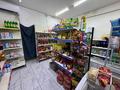 Дүкендер мен бутиктер · 80 м², бағасы: 400 000 〒 в Алматы, Турксибский р-н — фото 18