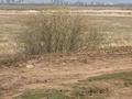 Участок · 36 га, мкр Уркер, Үркер за 51 млн ₸ в Астане, Нура р-н — фото 9