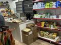 Магазины и бутики • 45 м² за 30 млн 〒 в Шымкенте, Аль-Фарабийский р-н