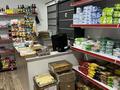 Магазины и бутики • 45 м² за 30 млн 〒 в Шымкенте, Аль-Фарабийский р-н — фото 2