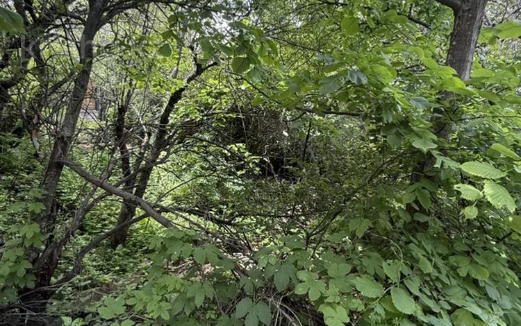 Участок · 6 соток, Высокогорная 51 за 12.5 млн ₸ в Алматы, Бостандыкский р-н — фото 2