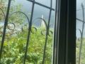 Отдельный дом · 4 комнаты · 82 м² · 9 сот., Пришахтинск, Мясникова — Район католического храма за 19 млн ₸ в Караганде, Алихана Бокейханова р-н — фото 15