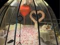 Готовый бизнес организация marry me, свидания, дни рождения · 50 м² за 1.5 млн ₸ в Алматы, Медеуский р-н — фото 8