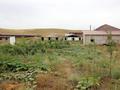 Сельское хозяйство • 2500 м² за 65 млн 〒 в Узынагаш — фото 30