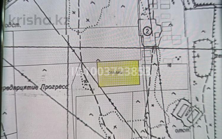Участок · 2 га, Байтерек (Новоалексеевка) за 188 млн ₸ — фото 2