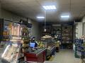 Магазины и бутики • 240 м² за 90 млн 〒 в Щучинске — фото 4