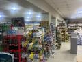 Магазины и бутики • 240 м² за 90 млн 〒 в Щучинске — фото 5