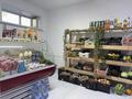 Магазины и бутики · 20 м² за 170 000 ₸ в Кокшетау — фото 2