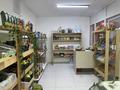 Магазины и бутики · 20 м² за 170 000 ₸ в Кокшетау — фото 3