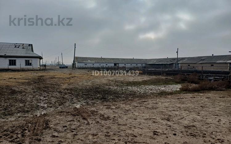 Сельское хозяйство · 2400 м² за 45 млн ₸ в Алматинской обл., Таргап — фото 2