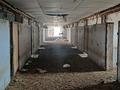 Сельское хозяйство · 2400 м² за 45 млн ₸ в Алматинской обл., Таргап — фото 9