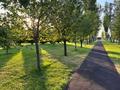 Отдельный дом · 6 комнат · 310 м² · 6 сот., мкр Акжайык — Park Residence за 197 млн ₸ в Шымкенте, Абайский р-н — фото 19