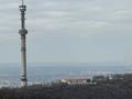 Отдельный дом · 2 комнаты · 20 м² · 55 сот., Панорамный Участок — Бишкекская 93 за 285 млн ₸ в Алматы, Медеуский р-н — фото 28