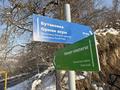 Отдельный дом · 2 комнаты · 20 м² · 55 сот., Панорамный Участок — Бишкекская 93 за 285 млн ₸ в Алматы, Медеуский р-н — фото 30