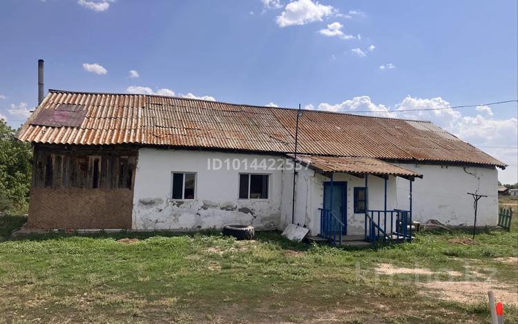 Отдельный дом · 4 комнаты · 86 м² · 35 сот., Бейбитшилик 10 — Центральная улица за 8 млн ₸ в Сарыобе — фото 2
