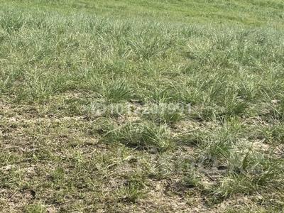 Участок · 4.2 га, Арай за 16 млн ₸