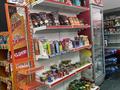 Продуктовый Магазин, 110 м² за 3 млн 〒 в Астане, Нура р-н — фото 12