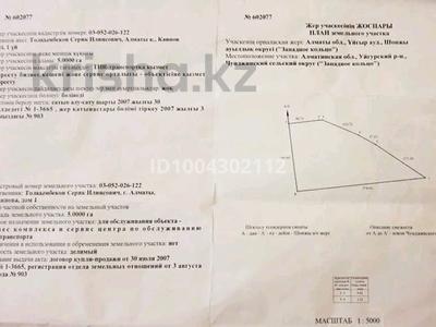 Участок · 500 соток, Чунджа за 85 млн ₸