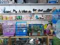 Магазины и бутики • 24 м² за 3.2 млн 〒 в Таразе — фото 4