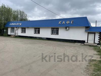 Жер телімі · 53 сотық, Ташкенсаз, бағасы: 60 млн ₸