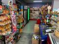 Магазины и бутики • 300 м² за 95 млн 〒 в Кендале — фото 12