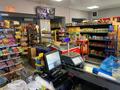 Магазины и бутики • 300 м² за 95 млн 〒 в Кендале — фото 13
