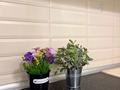 3-бөлмелі пәтер · 80 м² · 6/12 қабат, Сатпаева 90/36, 90/20, бағасы: 35 000 ₸ в Алматы, Бостандыкский р-н — фото 10