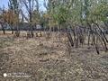 Отдельный дом · 3 комнаты · 150 м² · 15 сот., Сүйіндіков 15 за 10.5 млн ₸ в Кентау — фото 4