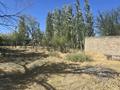 Отдельный дом · 3 комнаты · 150 м² · 15 сот., Сүйіндіков 15 за 10.5 млн ₸ в Кентау — фото 7