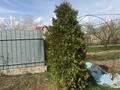 Отдельный дом · 7 комнат · 159 м² · 10.7 сот., Жансугурова 29 за 72 млн ₸ в Боралдае (Бурундай), мкр Водник-3 — фото 11