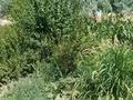 Саяжай · 5 бөлме · 100 м² · 12 жүзд., Сабалак — Монолит 191, бағасы: 17 млн ₸ в  — фото 19