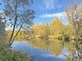 Участок · 15 соток, Музейная 4 за 24.9 млн 〒 в Усть-Каменогорске — фото 6