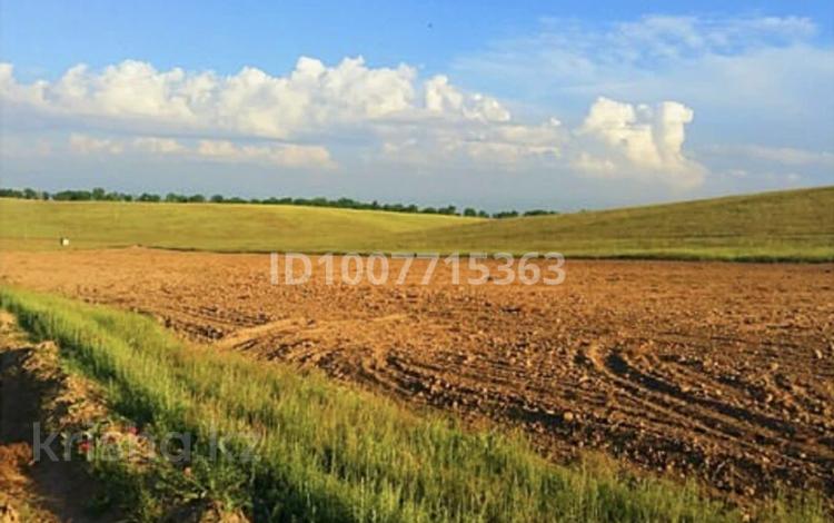 Участок · 23.5 га, Турар за 170 млн ₸ — фото 4