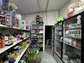 Жеке үй · 5 бөлме · 350 м² · , Ермекова 11, бағасы: 850 млн ₸ в Астане, Есильский р-н — фото 6