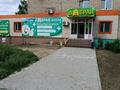 Магазины и бутики · 110 м² за 65 млн ₸ в 
