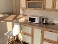 1-бөлмелі пәтер · 34 м² · 3/5 қабат, 27-шағынаудан, Язева 17 — КарНИУ им.Букетова, супермаркет Корзина, Додо пицца, бағасы: 200 000 ₸ в Караганде, Казыбек би р-н — фото 4