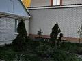 Отдельный дом · 5 комнат · 300 м² · 10 сот., мкр 12, Макатаева 32 — Богенбай батыра Макатаева за 1.2 млн ₸ в Актобе — фото 23