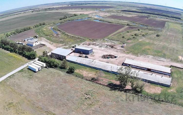 Өнеркәсіптік база · 2000 сотық, Каирбекова, бағасы: 230 млн 〒 в Костанае — фото 2