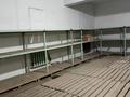 Участок · 0.1136 га, Пшембаева 28А за 135.4 млн ₸ в Экибастузе — фото 12